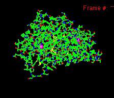 A szerkezeti dinamika alapvetően fontos szerepet kap a biológiai makromolekulák funkcionális