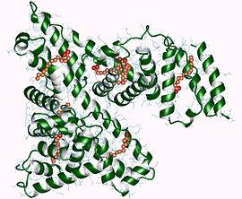 A se albumin fiziológiás szerepe A vérben 585 aminosavból álló monomer Fiziológiás állapotban COP 75-80%-a (nem kritikus