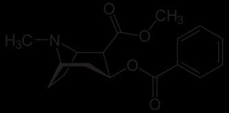 10. a) C17H1NO4 c) H+ * * * * Protonálódás: (0,5) Kiralitáscentrumok: (0,5) d) A kokain sói nem illékonyak.