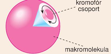 Kémiai háttér Könnyű gerjeszteni az elektronokat, ha Aromás gyűrűben, vagy Konjugált kettős kötésű rendszerben találhatók.