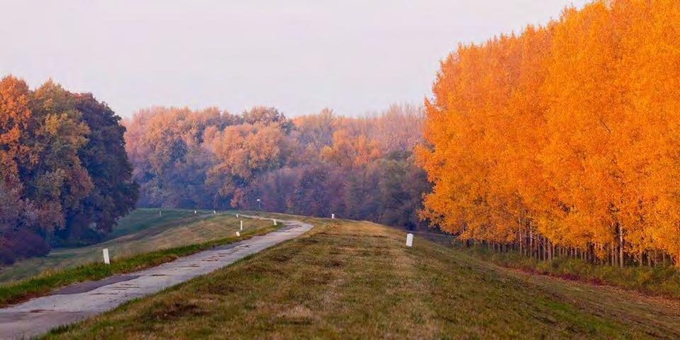 Szolnoktól 30 km-re északra: csodálatos, szinte érintetlen vidék, ott él például a legnagyobb vízililiompopuláció a Holt-Tiszán.