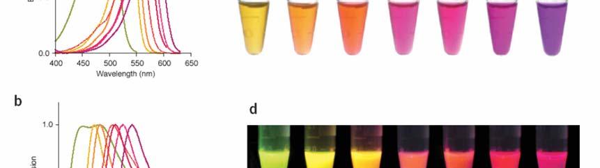 2. Extrinsic (külső) fluorofórok - fluoreszcens festékek A jelölő