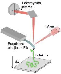 Erőspektroszkópia: a