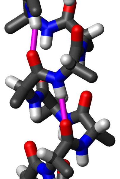 Peptidek és fehérje építőelemek térszerkezete: -terminális - alfa