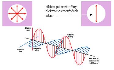 Optikai aktivitás Azok a vegyületek, melyek a síkban polarizált fény síkját elforgatják, optikailag aktívak.