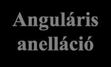 Lineáris anelláció Anguláris