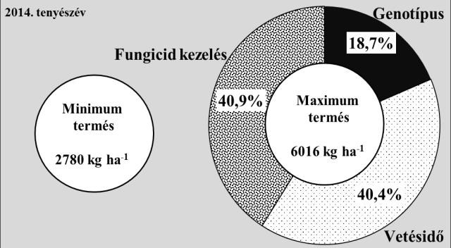 A genotípus hatása 2013-ban elenyésző volt, 1,6% súllyal befolyásolta a termésmennyiséget (49,8 kg ha -1 ).