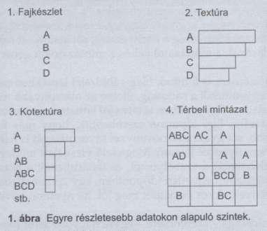 Kotextúra Milyen fajkombinációk valósulnak meg a közösségben és milyen mennyiségben Olyan mennyiségi eloszlás, ahol a kategóriák nem a fajok, hanem a megvalósuló fajkombinációk a felmért kvadrátokban