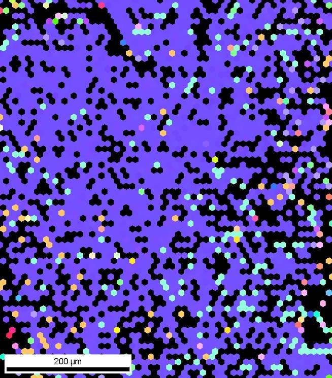 200 µm IR kép IPF IQ (inverz (