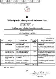 2007. évi