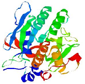 Red: α-helix; blue: antiparallel β-sheet; green: type I β-turn; orange: irregular structure.