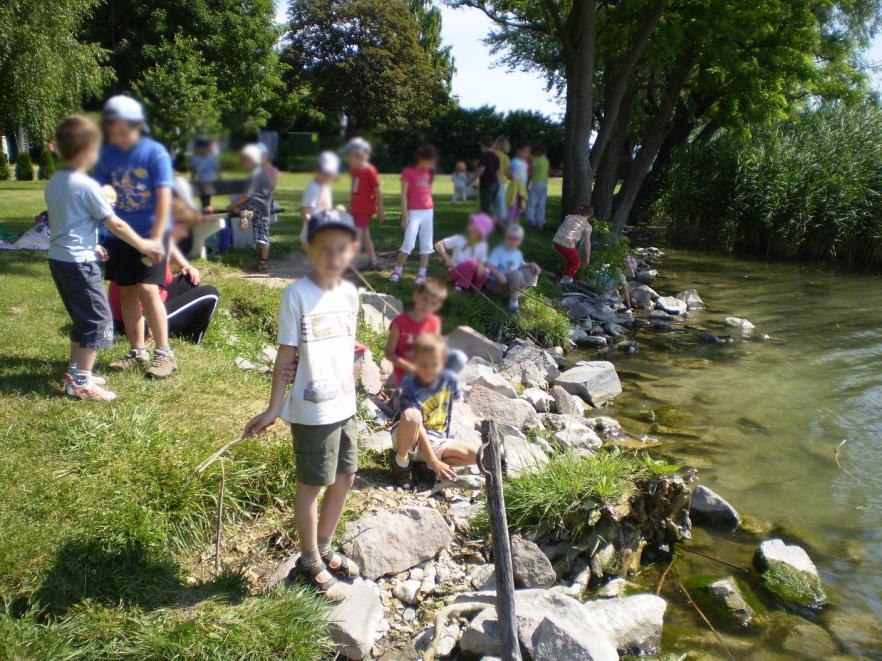 Élő-élettelen dolgok a patakban A víz mozgása- játék Víz