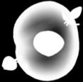 colony stimulating factor
