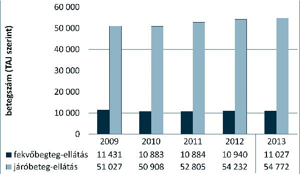 314 KÖZ-GAZDASÁG 2016/3 6. ábra: A járó- és/vagy fekvőbeteg-ellátást igénybevevő betegek számának alakulása 2009-2013 között Forrás: http://tea.gyemszi.