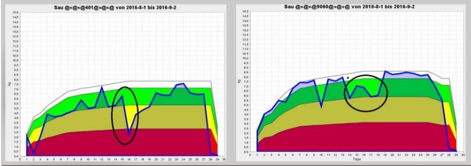 Precíziós etetőberendezések kocák részére Kocák takarmánygörbéje és aktuális fogyasztása (Parádi, 2017) Precíziós etetőberendezés jelentősége