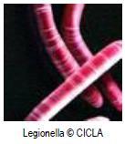 2. A réz szerepe a Legionella baktérium visszaszorításában A réz, a vörös fém antimikrobiális tulajdonságainak köszönhetően, csökkenti a biofilm kialakulását és a baktériumok elszaporodását.