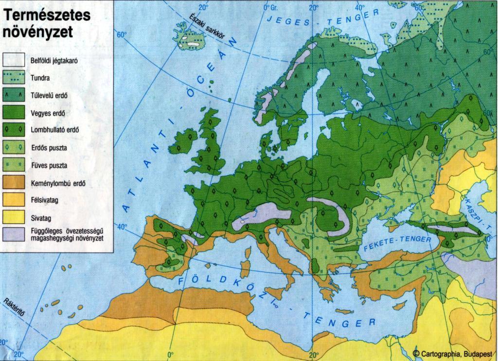 Növényzet: D- lombhullató erdők K-tűlevelű erdők É-tundra Izlandon magasabb pontjain belföldi jégtakaró Skandináv h.