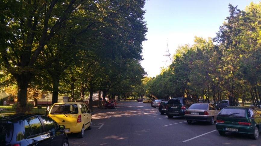 Tölgy-platán fasor Balmazújváros Kastélykert utca Településképileg meghatároró, koros fákból