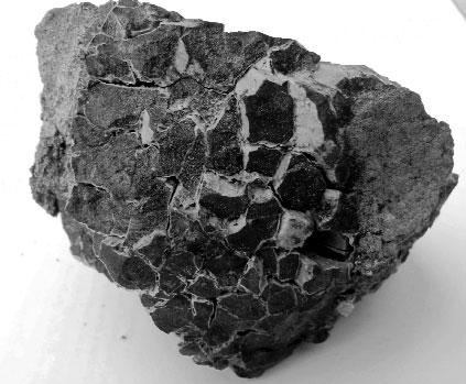 Elemző: BARTHA A. Figure 4. Phillipsite-Na crusts in the cracks of natural coke. Bátonyterenye coal mine, Hungary. Width of the picture: 8 cm 4. ábra.