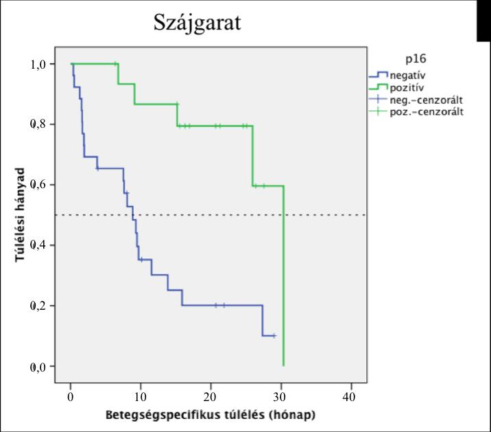 B 11. ábra: Kaplan-Meier túlélési görbe: p16 INK4 -negatív (kék) és p16 INK4- pozitív (zöld) daganattal rendelkező betegek esetében A) az összes tumorlokalizációra és B) a szájgarati régióra