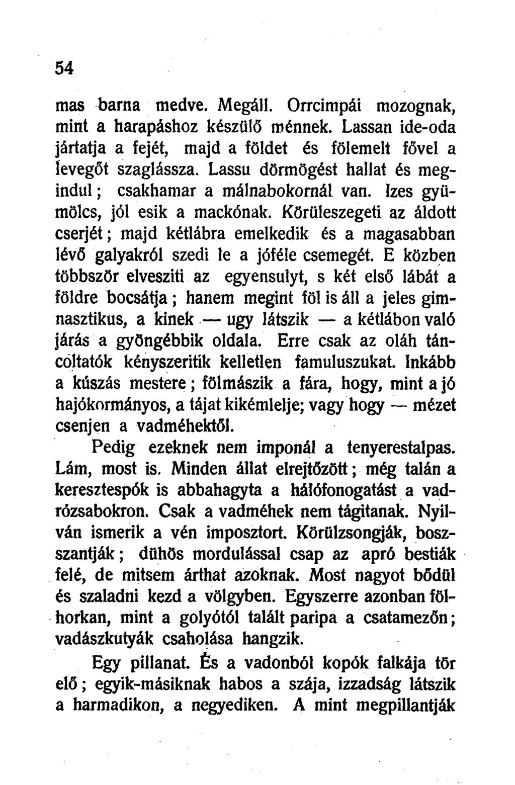 mas barna medve. Megáll. Orrcimpái mozognak, mint a harapáshoz készülő ménnek. Lassan ide-oda jártatja a fejét, majd a főidet és fölemelt fővel a levegőt szaglássza.
