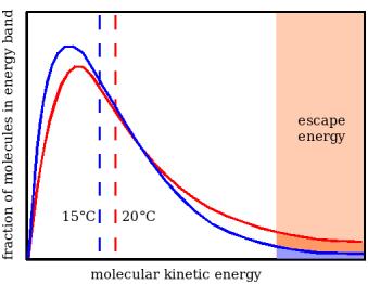Bármely hőmérsékleten nemcsak a gázmolekulák, hanem a folyadékmolekulák energiája sem azonos, hanem viszonylag széles tartományú eloszlást mutat.
