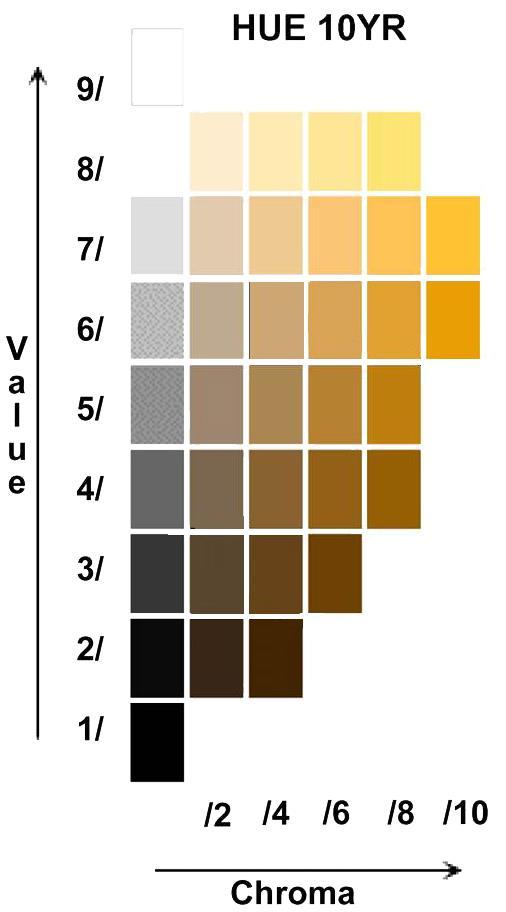 8.1. ábra: A talajszín meghatározásához használatos Munsell-skála Fizikai minőség: A talaj változatos méretű elemi ásványi alkotórészei közül a legnagyobb tömegben előforduló