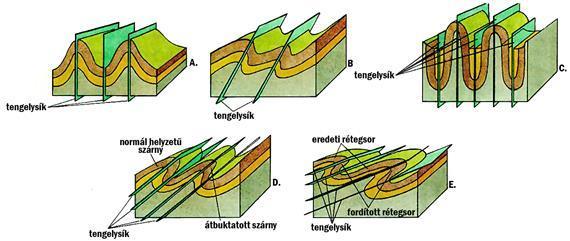 3.3. ábra: A redők fajtái: A. szimmetrikus redő; B. ferde redő; C. izoklinális redő, D. átfordult redő; E. fekvő redő (Báldi 1991 alapján) A redők alakja is igen változatos.