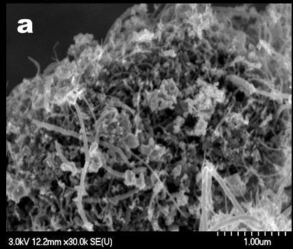 Eredmények meg: tűszerű nanokristályok fejlődtek a szén nanocsövek mellett (26. ábra; c és d).
