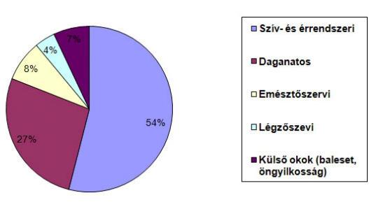 Fő halálokok Magyarországon és kerületünkben Fő halálokok Magyarorországon Fő halálokok a Budapest XV. kerületben 4,3% 7,2% - egyéb okok 5,3% 4,9% 49,8% 28,5% Medifilter 2017. Bp. XV. Önkorm.