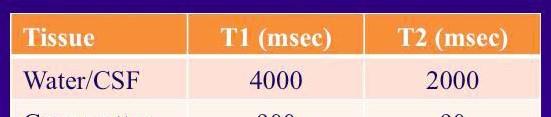 , Proton Density =