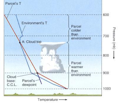 A cumulus felhők növekedése A légrész hidegebb a