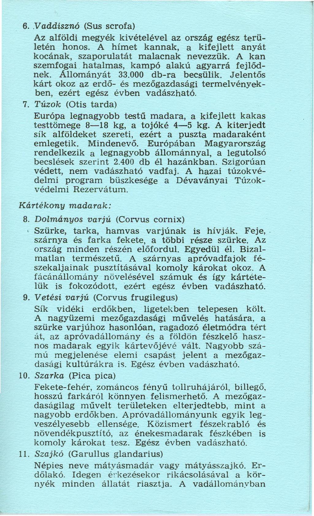 6..vaddisznó (Sus scrofa) Az alföldi megyék kivételével az ország egész területén honos. A hímet kannak, a kifejlett anyát kocának, szaporulatát malac nak nevezzük. A kan szemfogai.