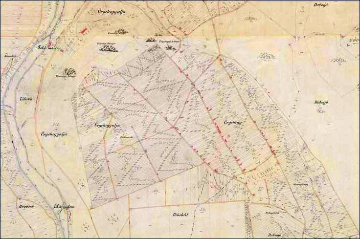 3. ábra Az Országos Kataszteri Felmérés térképe (1880 körül) E kataszteri felmérés alapján Koroṡec István mérnök 1884-ben elkészítette Bia és Torbágy község önálló kataszteri térképét, melyeken a