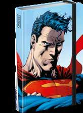 5416-M2 8 595054 261146 & DC Comics
