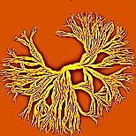 Rev. 2014 ( IF = 33,4 ) Nature Phys.