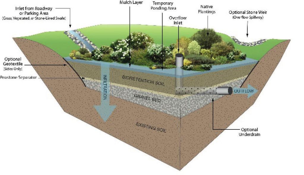 ANTAL ÖRS: Green Infrastructure Solutions for Flood Prevention Rain gardens or bio-retention cells The operation of rain gardens or the more complex bio-retention cells (Figure 3.