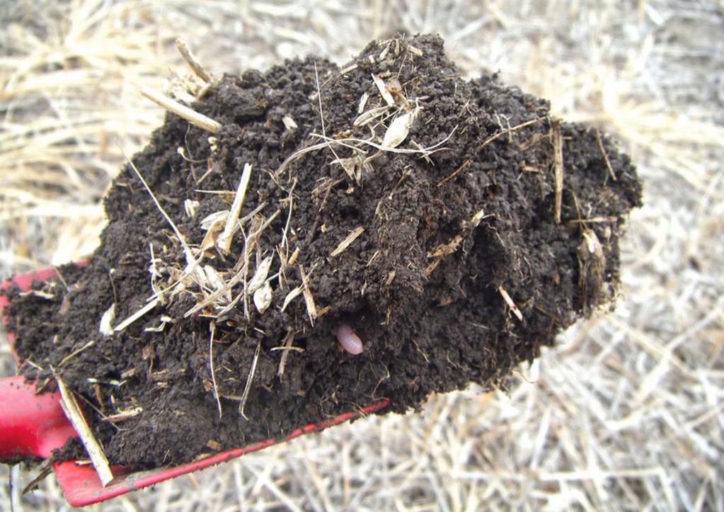 2. A talaj szervesanyag-tartalmának szinten tartása, növelése.