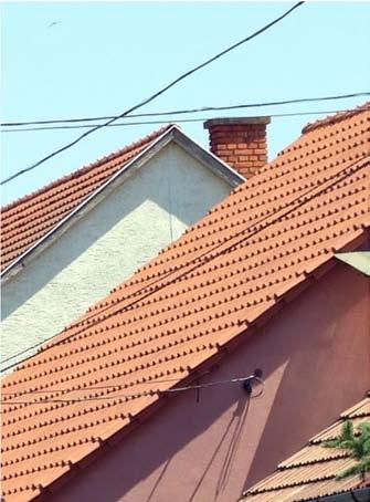 27 Kertek A karakter utcáin jellemzően gyümölcsfákból álló növénycsoportokat látunk. Ahol a légvezetékek miatt lehetőség van rá, ott egységes koncepció alapján utcafásítás javasolt.