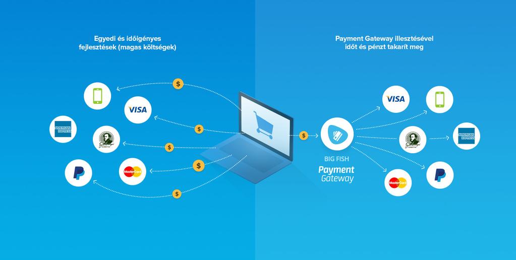 Bköszönő A Paymnt Gatway Fintch?