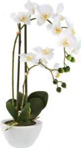30/0,5/13cm, többféle minta 1.590,- (48850262) 11 Kaspó Relax, porcelán, kb. 12/11cm, kétféle 1.