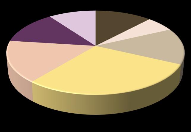 Régiók részesedése az országos top 100 bevételből Nyugatdunántúli 16,0% Északmagyarországi Középdunántúli Déldunántúli 13,0% 10,0% Dél-alföldi 29,0% 12,0% 6,0% Északalföldi 14,0% Középmagyarországi