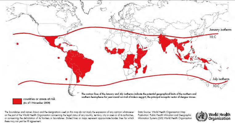 Epidemiológia 2,5 milliárd ember él dengue endémiás területen több mint 60 országban az elmúlt 50 évben 30