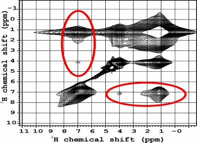a b 3.ábra. Gyógyszer-hatóanyagokkal töltött PNIPA gélek 1 H 1 H proton korrelációs CRAMPS NMR spektrumai a VPT hőmérséklet felett: (a) Fenol tartalmú PNIPA (b) Dopamin hidroklorid-tartalmú PNIPA. 4.