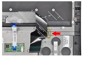 MEGJEGYZÉS: Billentyűzet-háttérvilágítás kábel csak a háttérvilágítással ellátott billentyűzeteken található. 1 Figyelje meg az új billentyűzetkábel elhelyezkedését.