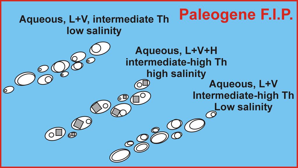 A Variszkuszi és a paleogén hidrotermális rendszerek fluiszárvány fluiszárvány--jellemzőinek összehasonlítása Pegmatites Q-Mo