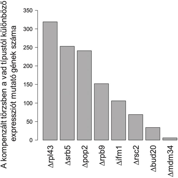 612 TEMATIKUS ÖSSZEÁLLÍTÁS SZERTEÁGAZÓ BIOINFORMATIKA MAGYARORSZÁGON 2. ábra. A kompenzált törzsek génexpressziós mintázata a vad típussal összehasonlítva sok génben nagyarányú változásokat mutat.