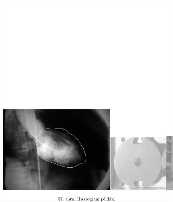 2. Bejárjuk a képet és kitöltjük a -t: pixelértékre 3. A végén normalizálunk:. A 57. áb-ra négy példát mutat valós hisztogramra.
