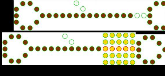 A rekurziós lépések száma meghatározza a törlendő ágak maximális hosszát; példánkban két rekurziós lépés van. Ezek után megtaláljuk a megmaradt ágak végpontjait.