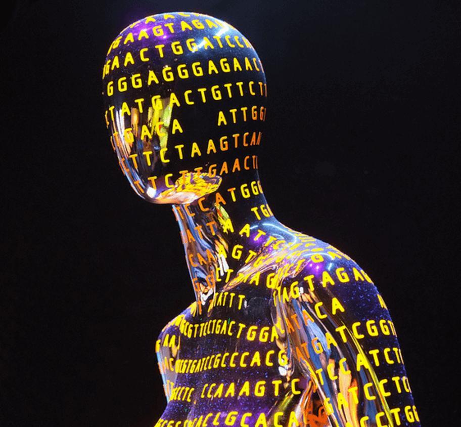 Kutatások Human Genom Project 1990-2003 HapMap 2002-2009 1000 genom program 2008-2015 Egy élőlény